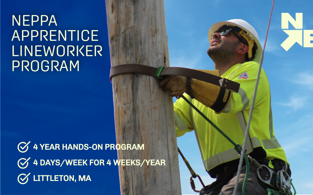 Apprentice Lineworker Program – Hands-on Make-ups (Years 3 & 4)